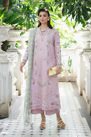 Qalamakar Q Line  Lawn Collection -Pink Green  Suit