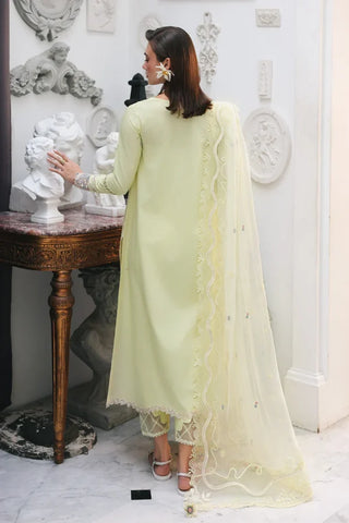 Qalamkar Q Line Lawn Collection- Yellow Suit