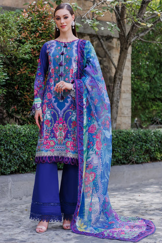 Bliss Linen Winter Collection – Vibrant Pakistani Designer Outfits for Winter