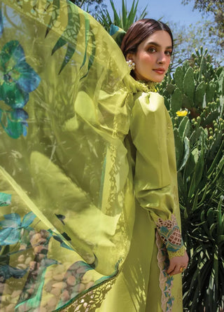 Rangrasiya Carnation Frestive Edit Collection -Green Suit LIANA