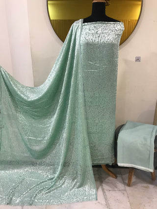 Pakistani Palachi Velvet Collection-Mint Green Suit
