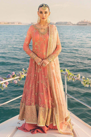 Mushq Festive Chiffon Suit- Orange