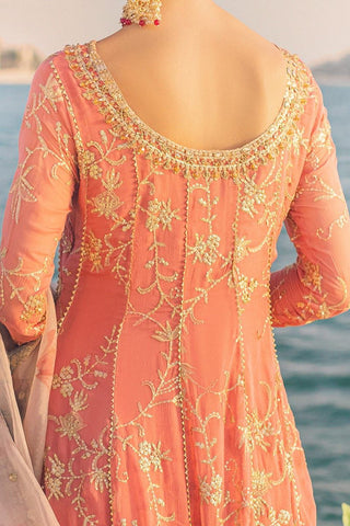 Mushq Festive Chiffon Suit- Orange