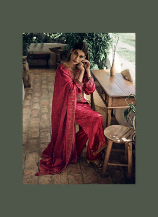 Varsha Tradition Velvet Designer Embroidered Collection -Red Suit