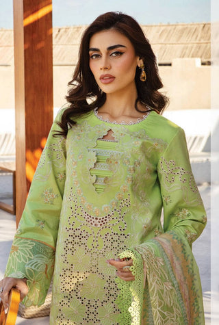 Rangrasiya Premium Summer Collection 2025-Green Suit