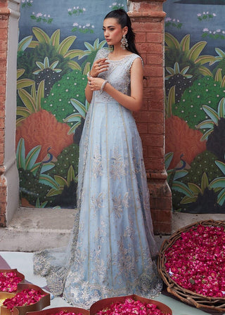 Mushq Festive Chiffon Suit- Ice Blue