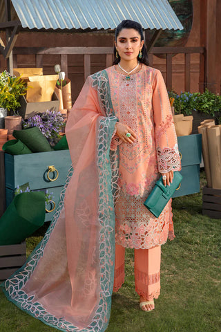 Rangrasiya premium Eid collection featuring lawn chikan embroidered shirts with patches, lawn bottoms, and embroidered cotton net/organza/silk printed dupattas. Book now for ready-to-dispatch items.
