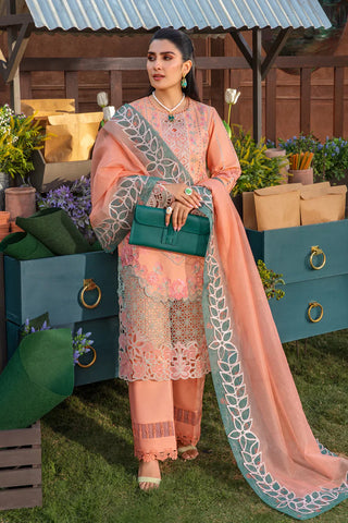 Rangrasiya Premium Eid 2024 Collection- Peach Suit